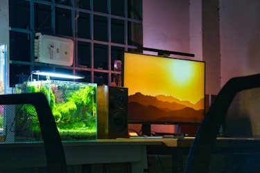 短剧资源搜索合作伙伴 - 字节跳动